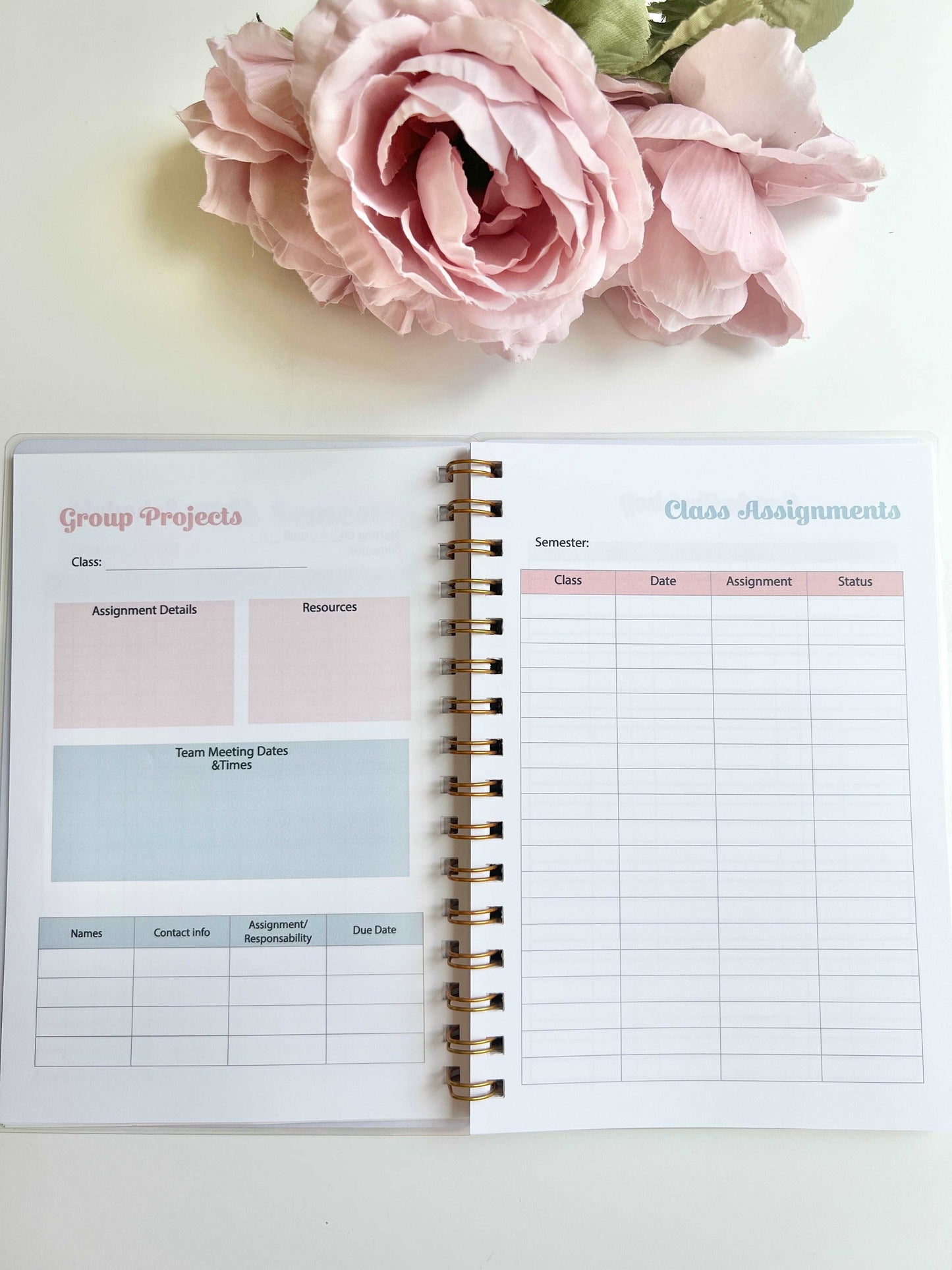 Academic Blue and Pink Gingham Wire-O A5 size Planner