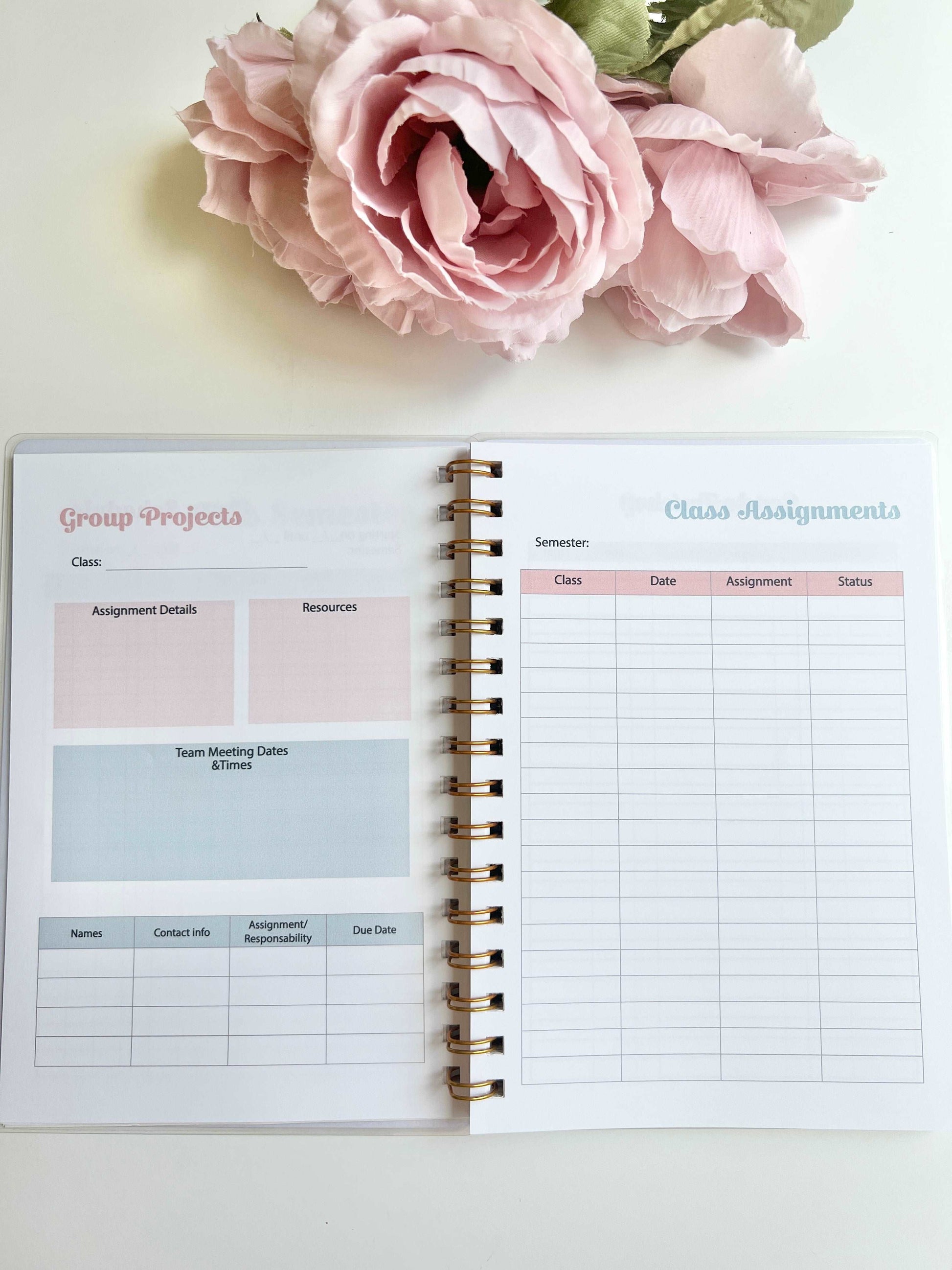 Academic Blue and Pink Gingham Wire-O A5 size Planner