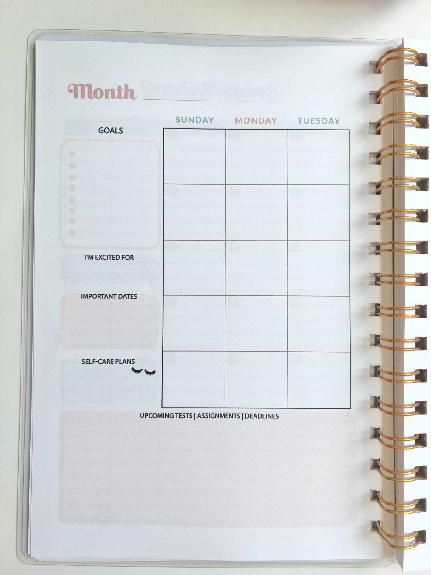 Academic Blue and Pink Gingham Wire-O A5 size Planner