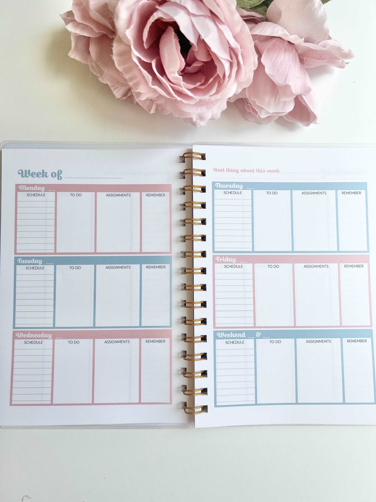 Academic Blue and Pink Gingham Wire-O A5 size Planner
