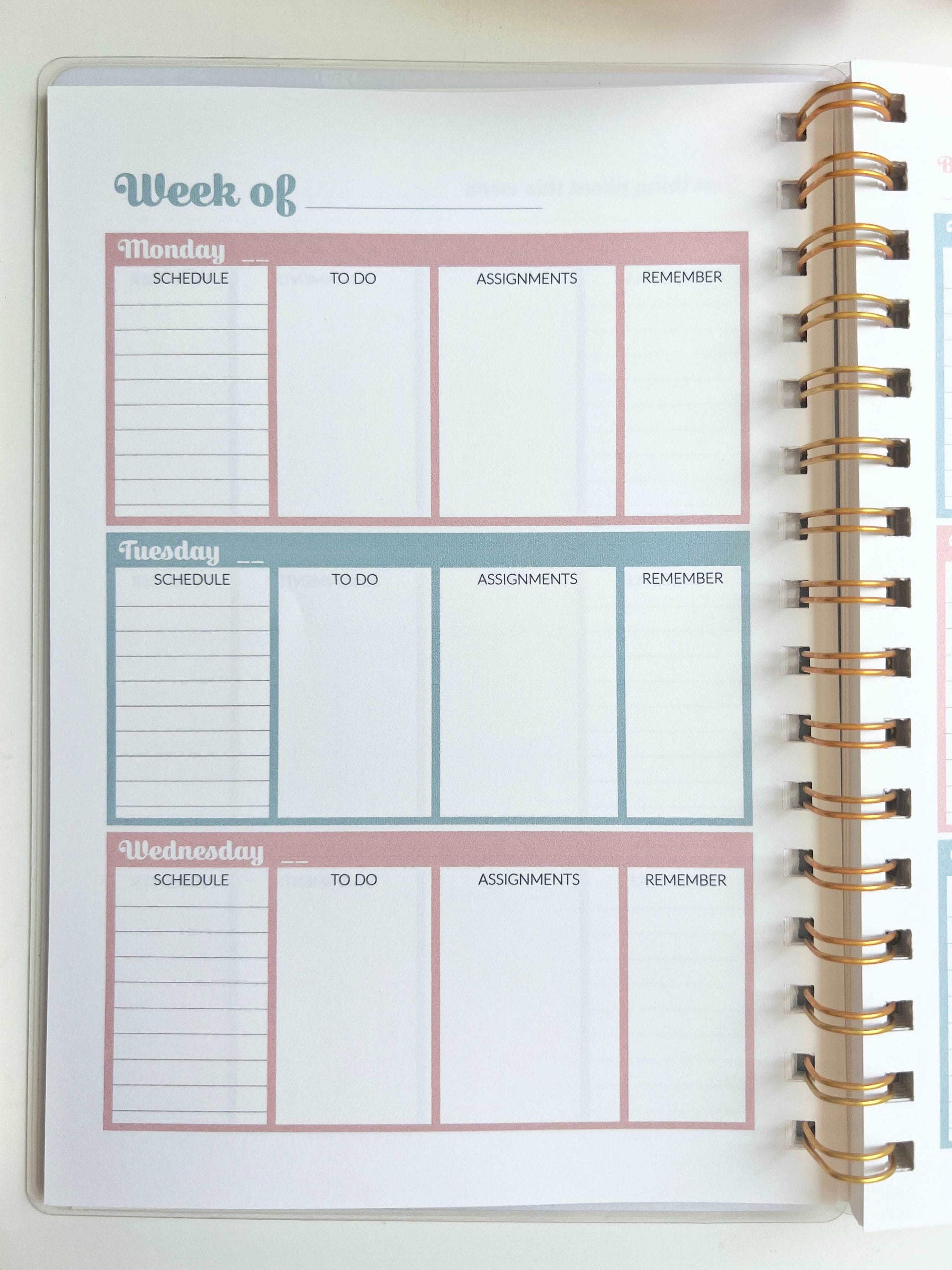 Academic Blue and Pink Gingham Wire-O A5 size Planner