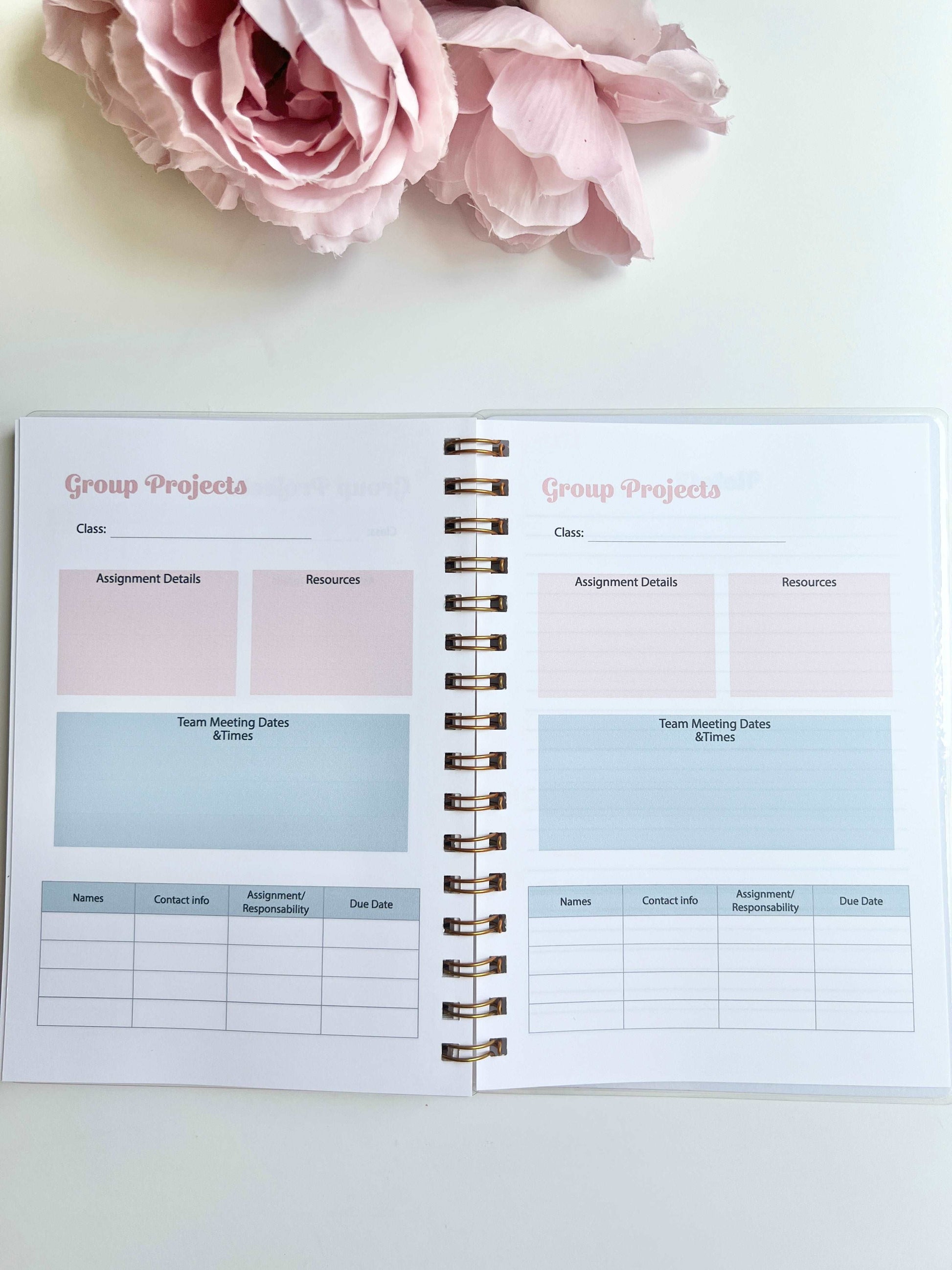 Academic Blue and Pink Gingham Wire-O A5 size Planner
