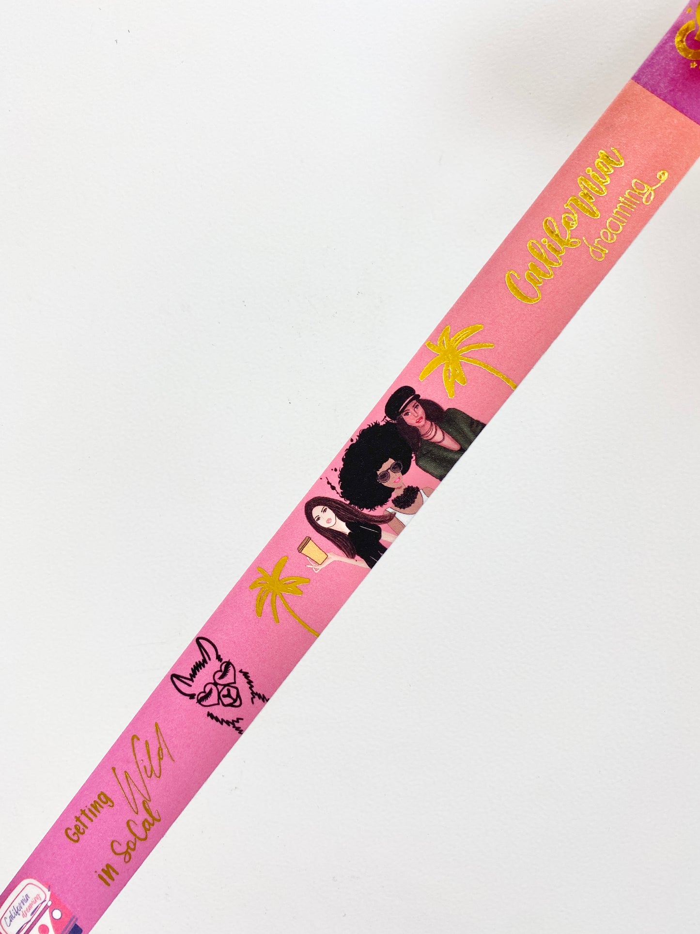 Past year - Go Wild SoCal Washi Tape