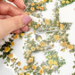 Secret Garden Clear Sticker Pack | Transparent Floral Stickers