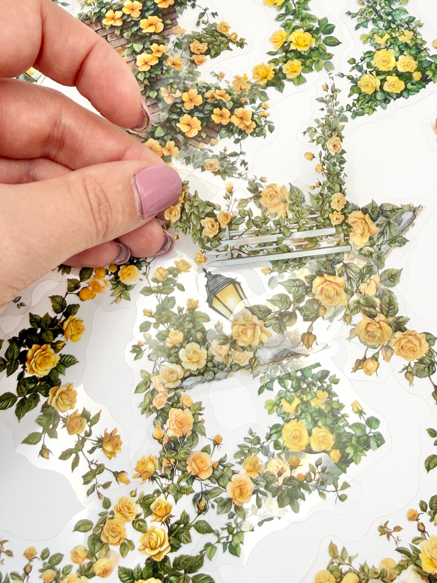 Secret Garden Clear Sticker Pack | Transparent Floral Stickers