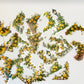 Secret Garden Clear Sticker Pack | Transparent Floral Stickers