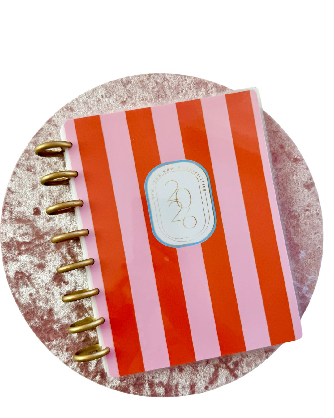 2026 Weekly and Monthly Discbound Planner - Laminated Cover