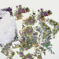 Secret Garden Clear Sticker Pack | Transparent Floral Stickers