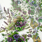 Secret Garden Clear Sticker Pack | Transparent Floral Stickers