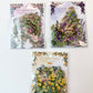 Secret Garden Clear Sticker Pack | Transparent Floral Stickers