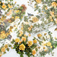 Secret Garden Clear Sticker Pack | Transparent Floral Stickers