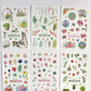 Watercolor House Plants Clear Stickers - 6 sheets