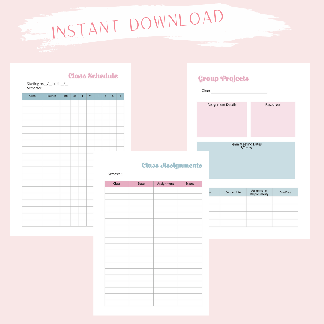 Instant Download - Digital - Academic Blue and Pink Gingham A5 size Planner