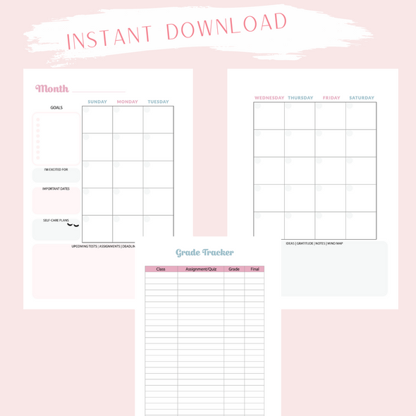 Instant Download - Digital - Academic Blue and Pink Gingham A5 size Planner