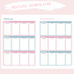 Instant Download - Digital - Academic Blue and Pink Gingham A5 size Planner
