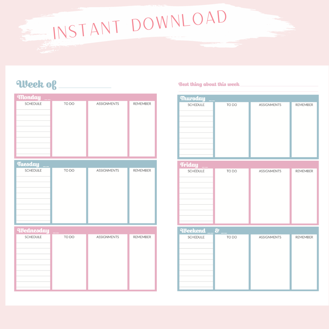 Instant Download - Digital - Academic Blue and Pink Gingham A5 size Planner