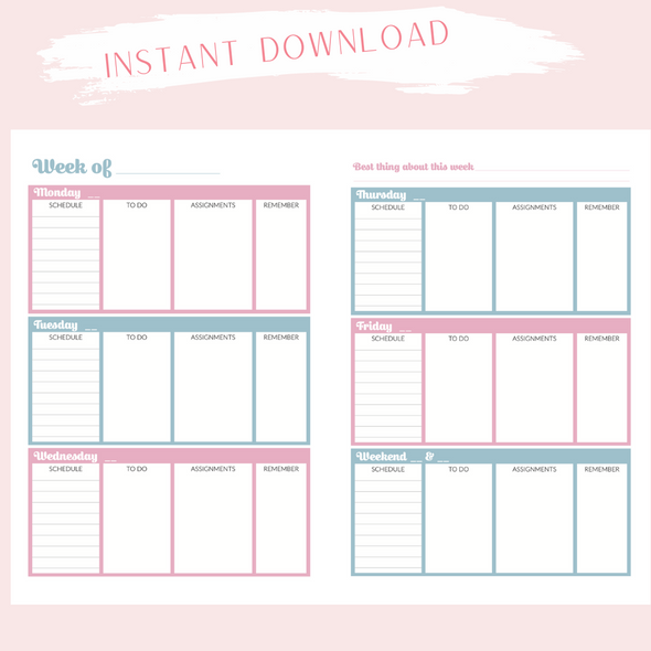 Instant Download - Digital - Academic Blue and Pink Gingham A5 size Planner