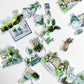 Boho House Plants Die Cut Stickers