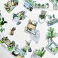Boho House Plants Die Cut Stickers