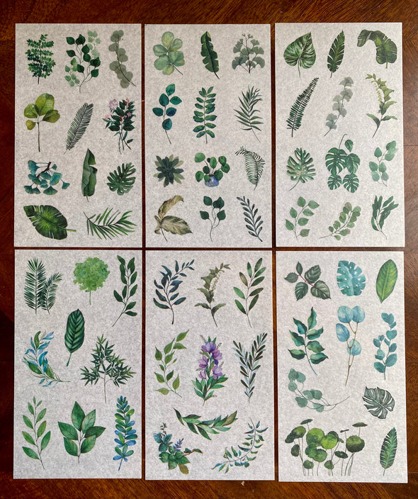 Tropical Plants Clear Planner Stickers - Set of 6