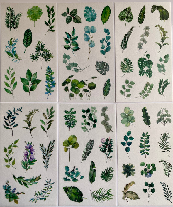 Tropical Plants Clear Planner Stickers - Set of 6