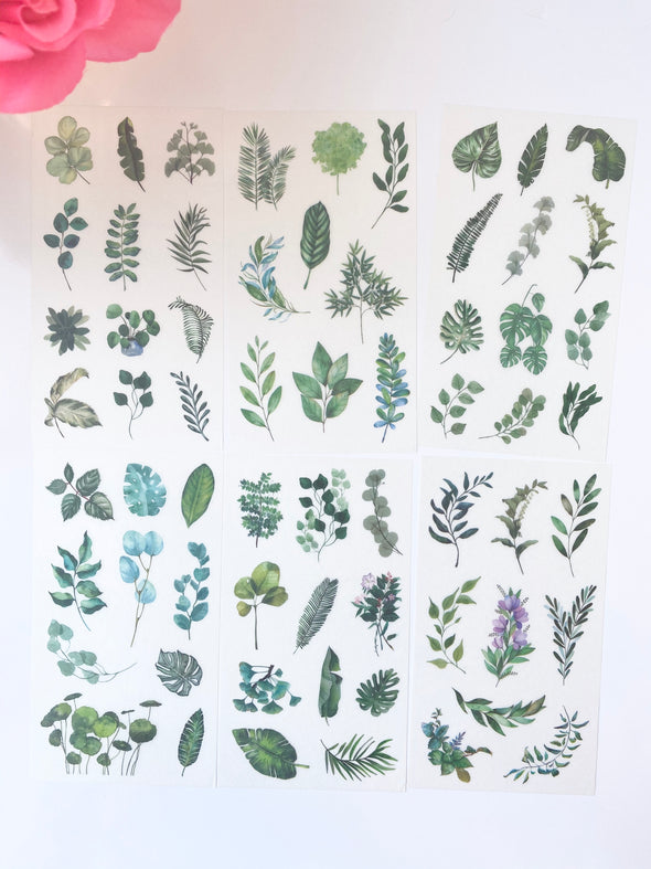 Tropical Plants Clear Planner Stickers - Set of 6