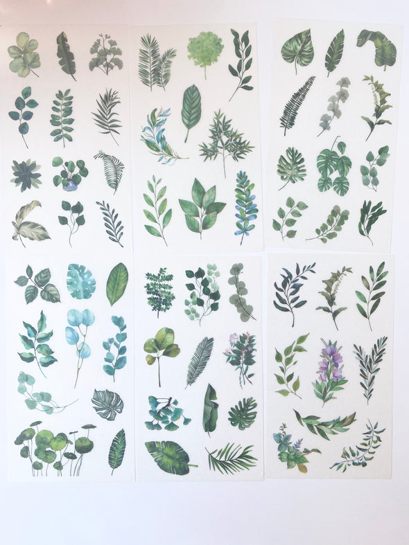 Tropical Plants Clear Planner Stickers - Set of 6